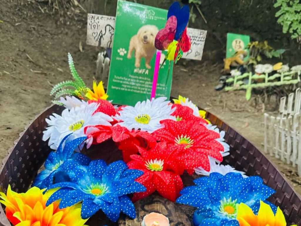 El paquete memorial de $100 incluye una despedida privada, sepultura y una placa de madera con el nombre de la mascota y un mensaje elegido por su familia.