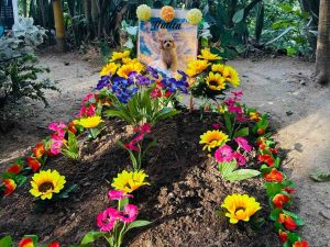 cementerio-mascotas-san-salvador-precios-servicios03