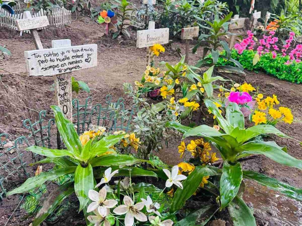 Las familias pueden solicitar una placa de cerámica con fotografía, nombre y un mensaje especial por $45 adicionales al precio del paquete memorial completo.