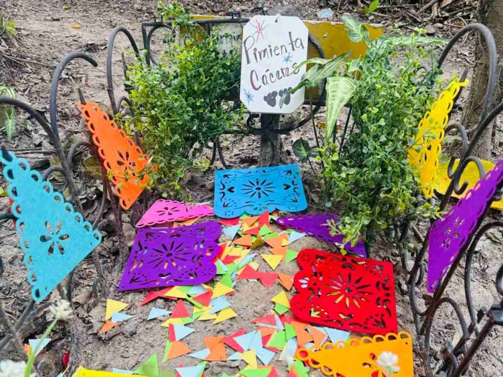 Las flores y las velas acompañaron la conmemoración del Día de los Muertos para mascotas, una jornada dedicada a recordar a los compañeros que ya partieron.