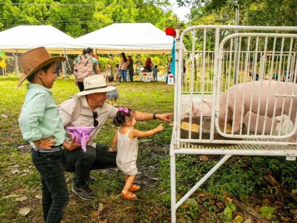 El Día de Campo ENA 2026 promete una jornada de diversión, gastronomía y experiencias agrícolas para disfrutar en familia este domingo 25 de octubre.