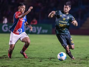 fas inca aruba patatal