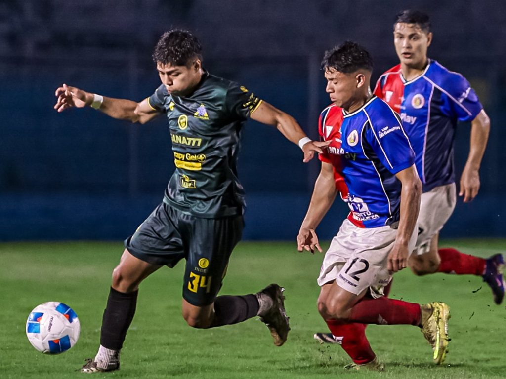 fas inca aruba patatal 2