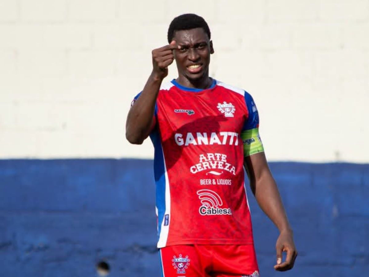firpo fuerte san francisco lmf 01