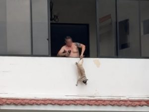 Un hombre de 64 años fue capturado por la Policía Nacional Civil (PNC) tras ser denunciado en redes sociales por presunto maltrato animal.