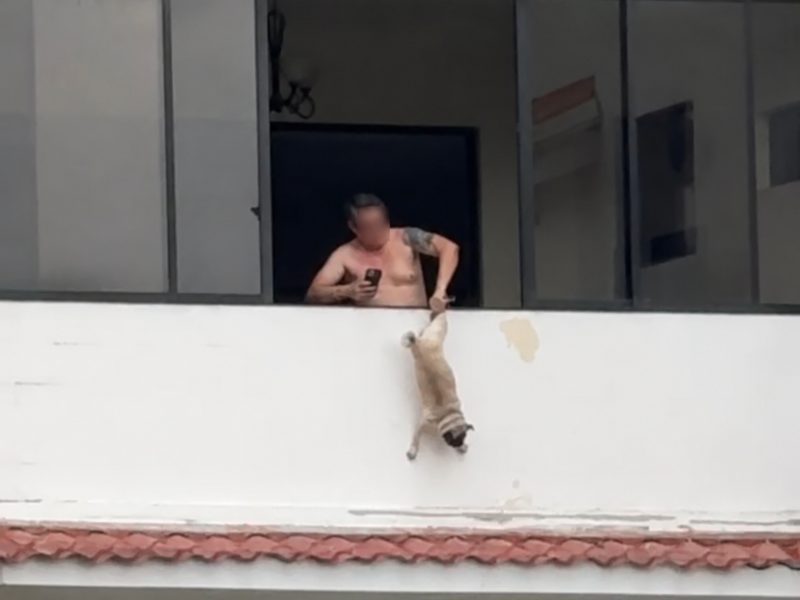 Un hombre de 64 años fue capturado por la Policía Nacional Civil (PNC) tras ser denunciado en redes sociales por presunto maltrato animal.