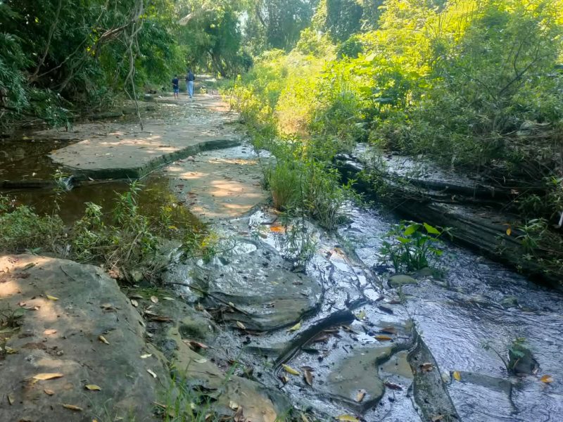 Pobladores de San Juan de los Plátanos descubrieron las marcas prehistóricas en el cauce de un arroyo de Apatzingán. Foto: INAH.