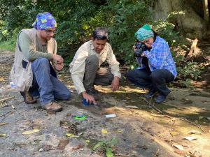Un impresionante hallazgo en México permitió identificar al menos 50 huellas fosilizadas de dinosaurios en el estado de Michoacán. Foto: INAH
