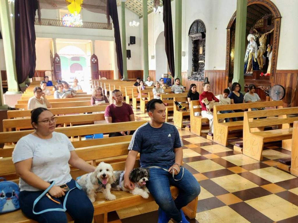 Un pato fue llevado a la Parroquia San Francisco de Asís para participar en la bendición de mascotas. Foto / Parroquia San Francisco de Asís, San Miguel.