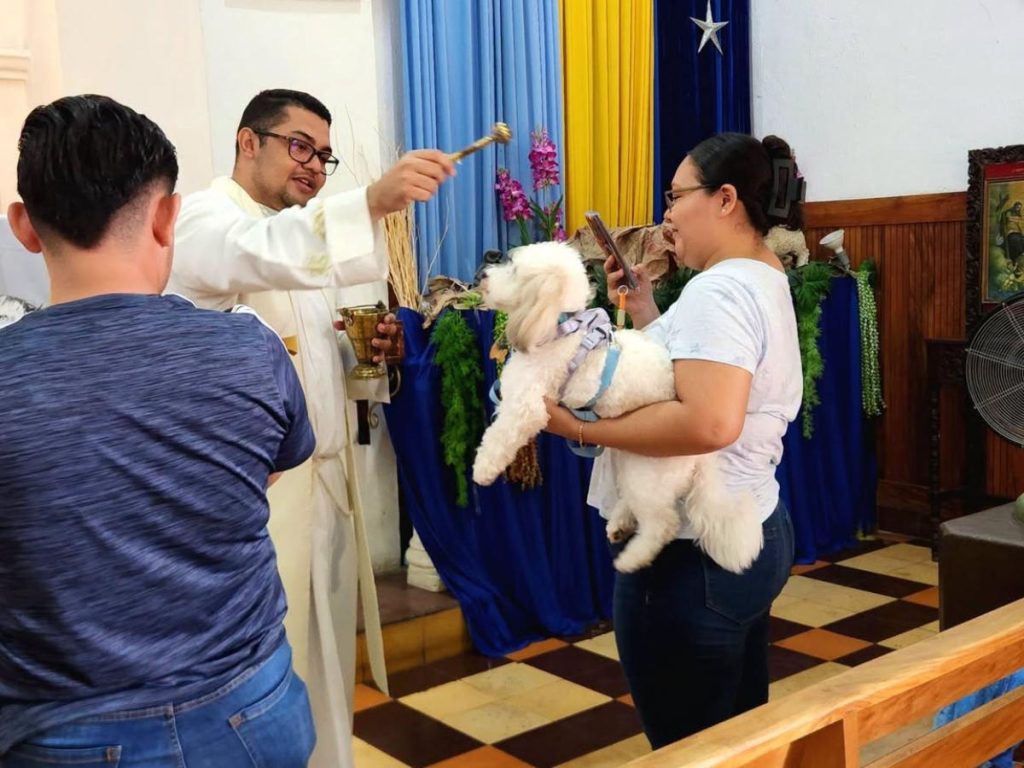 La actividad reunió a mascotas y familias como parte de las fiestas patronales de la parroquia. Foto / Parroquia San Francisco de Asís, San Miguel.