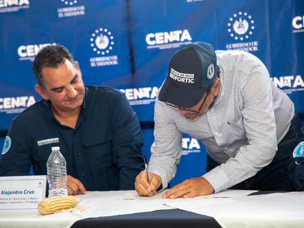 Innovación agrícola: El MAG y el CENTA impulsan la producción de semillas mejoradas para el ciclo 2026-2027, con el objetivo de fortalecer la agricultura salvadoreña.