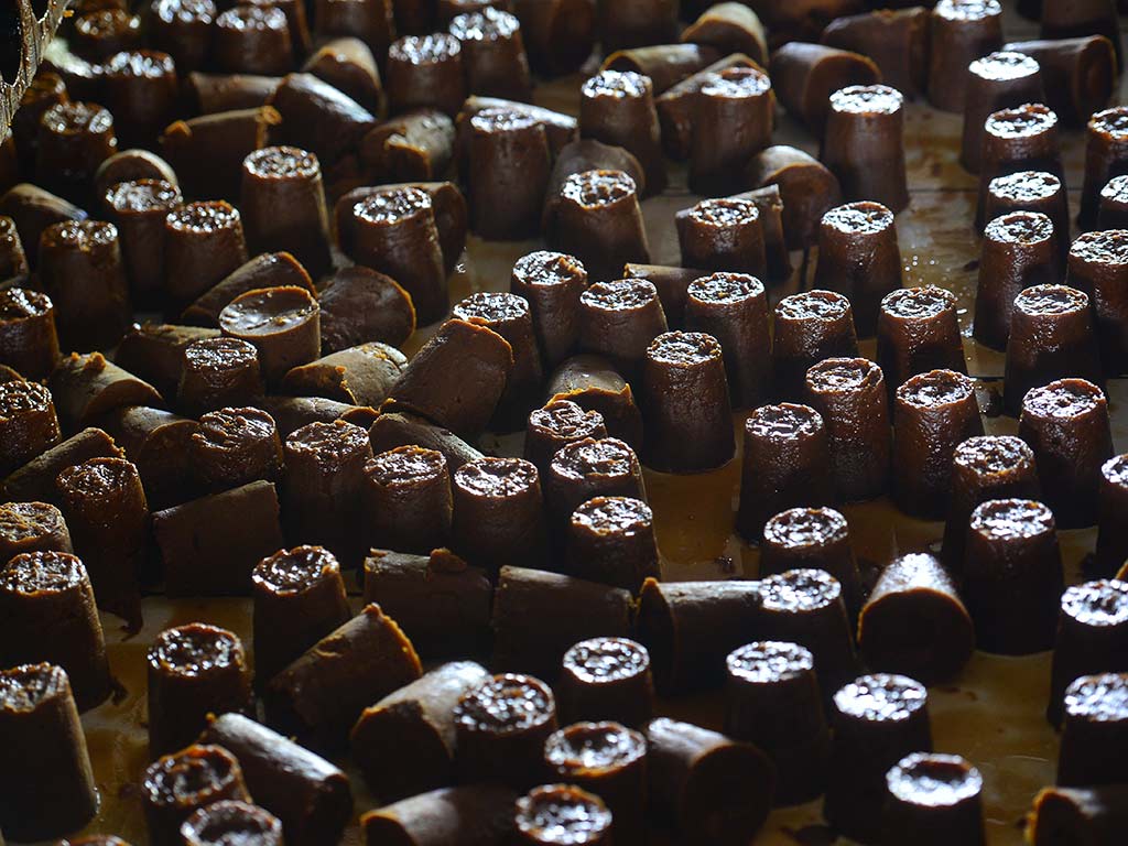 Múltiples bloques cilíndricos de dulce de panela recién desmoldados reposando sobre una mesa.