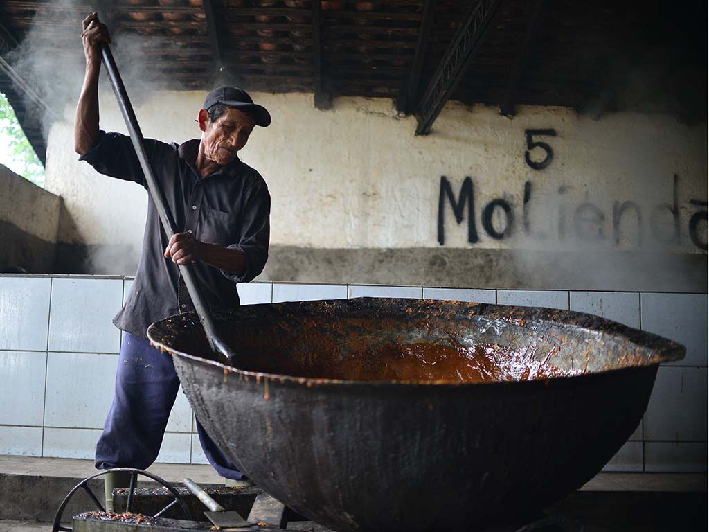 Moliendero anciano batiendo con una pala de madera el jugo de caña espeso dentro de una perola gigante.