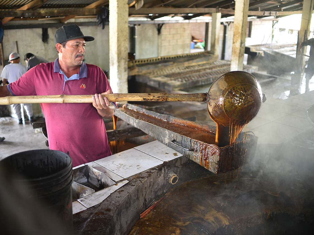 Artesano extrayendo la miel espesa de caña con un gran recipiente atado a un palo de bambú.