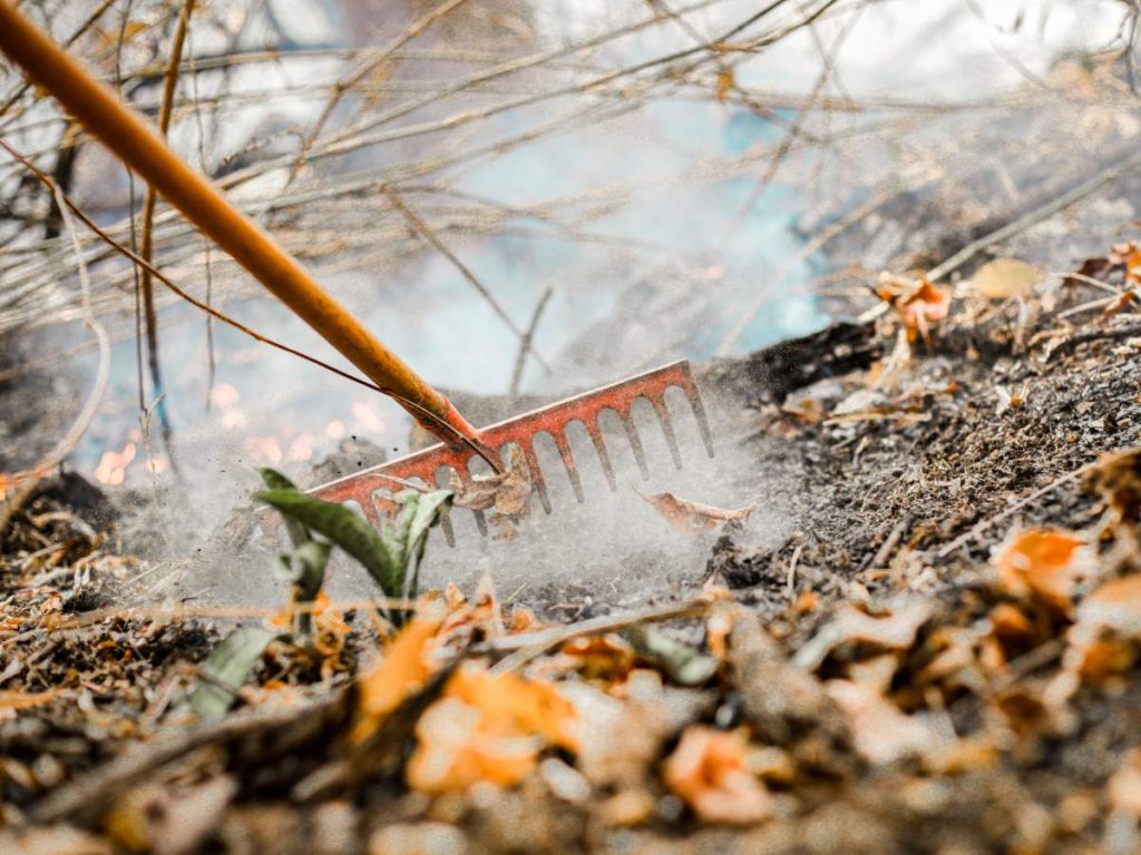 El Ministerio de Medio Ambiente y Recursos Naturales deberá establecer las condiciones técnicas para realizar las quemas agrícolas autorizadas.