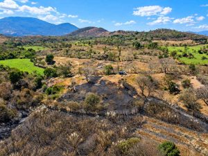 quemas-agricolas-incendios