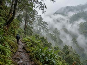 rutas-bosques-neblina-el-salvador01