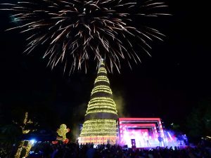 vision-empresarial-arbol-san-martin-san-salvador-7