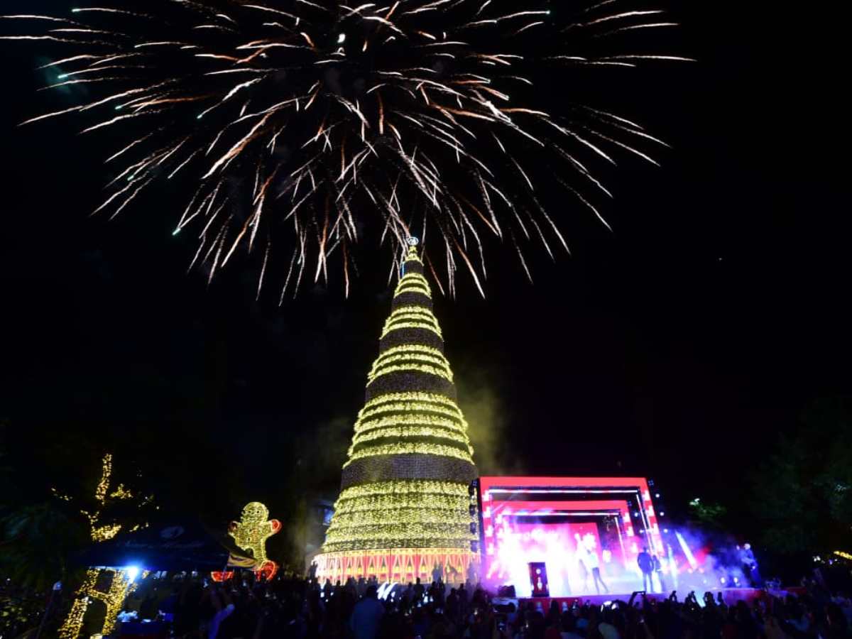 Los preparativos para instalar el árbol de Navidad ya comenzaron en la Plaza Salvador del Mundo.