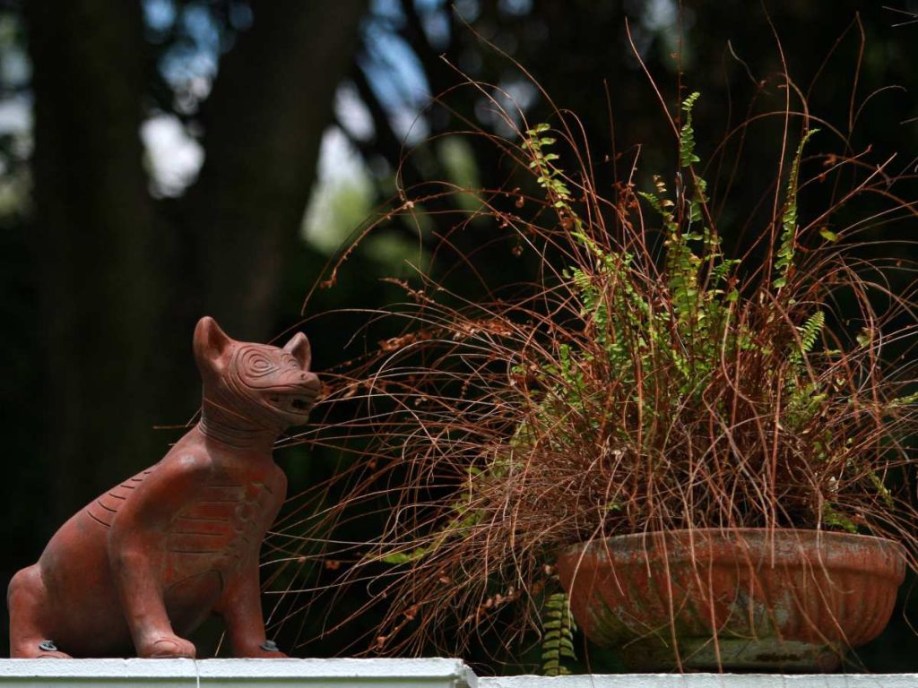 El perro con ruedas de Cihuatán refleja la importancia de estos animales en las culturas prehispánicas, aunque no confirma la presencia del xoloitzcuintle.